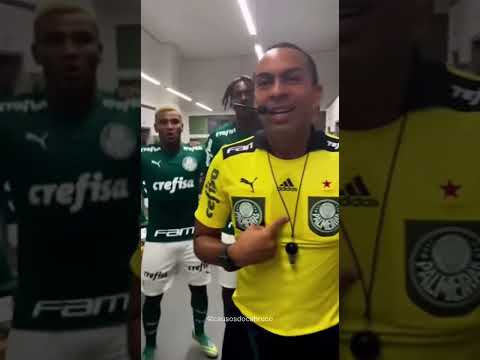 Juiz comemorou +3 pontos por Palmeiras 😂#palmeiras #brasileirao #tiktok #sora2 #fy #futebol