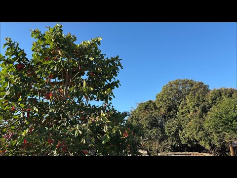 Buenos días desde El Salvador 🇸🇻