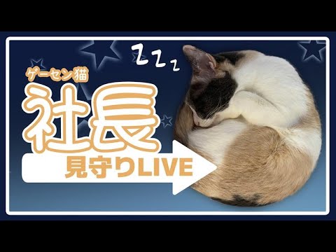 thumbnail_C40Py68GPH0