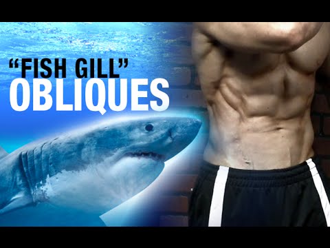 Get SHREDDED OBLIQUES (Fish Gills with One Exercise!) - UCe0TLA0EsQbE-MjuHXevj2A