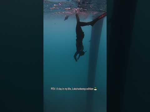 Days like these remind me why I travel 🥹🩵 #travel #adventure #lakshadweep #viralvideo #viralshorts