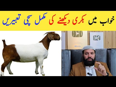 Khwab mein bakri dekhna ki tabeer | khwab mein bakra dekhna | khwab mein bakriyan dekhna 