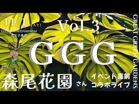 11月1日グレートグリーンガーデンズ直前!!森尾さんとコラボライブ