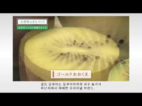 【한국어】大熊町のまちづくり～次世代へつなぐ営農のかたち～（韓国語）