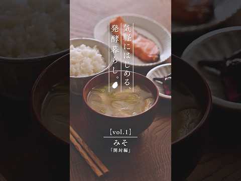 【気軽にはじめる、発酵暮らし🌿】Vol.1　みそ　開封篇！1ヵ月熟成させたみそが完成✨ #マルコメ #発酵食品 #発酵調味料 #shorts