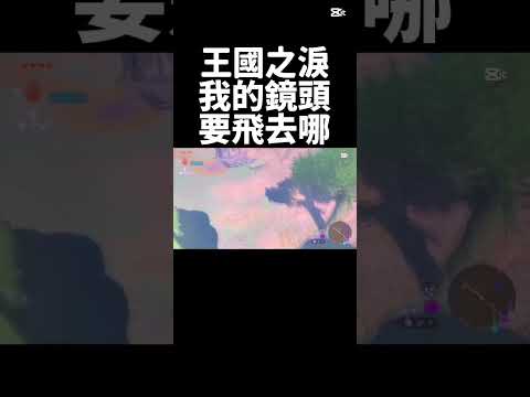 王國之淚我的鏡頭要飛去哪? #王國之淚 #無解說 #bug #zelda #搞笑 