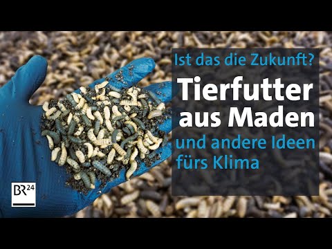 Recyclingbeton, Elektrosprinter, Insektenfutter: Ideen fürs Klima? | Die Story | Kontrovers | BR24