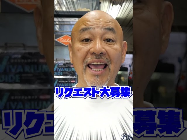 #shorts #オーナーズフィッシュ#爬虫類倶楽部  
第4回オーナーズ倶楽部を開催します！！
オーナーズフィッシュの店舗にて爬虫類倶楽部さんを招いてのストアイベントとなります🦎
7/26(土)～7/27(日)12:00～18:00にオーナーズフィッシュにて開催されます！
たくさんの生体や用品などを持ってきていただきます！

下記のHPのブログより確認ください！
http://blog.livedoor.jp/hachikura_nakano/archives/52186533.html


たくさんのご来店をお待ちしております！


▶爬虫類倶楽部さん
https://hachikura.com/
 @user-de5rt3sg4w  


★オーナーズフィッシュ公式サイト
https://ownersfish.official.jp/

★Twitter
https://twitter.com/ownersfish

★Instagram
https://www.instagram.com/ownersfish/

★Line公式アカウント
https://line.me/R/ti/p/%40320jymis

★Linktree
https://linktr.ee/ownersfish