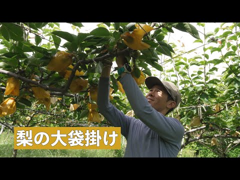 今年の夏も暑そうです。