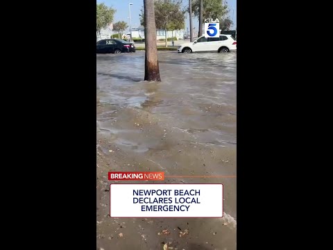 Newport Beach declares <strong>local</strong> emergency