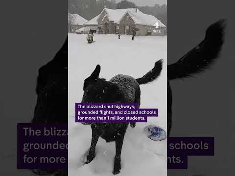 Snow blizzard blankets US deep south