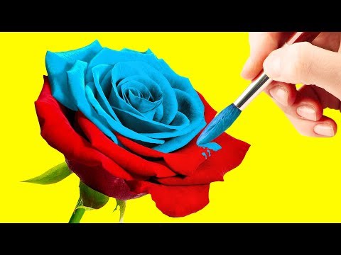 20 AMAZING AND EASY DIY FLOWERS - UC295-Dw_tDNtZXFeAPAW6Aw