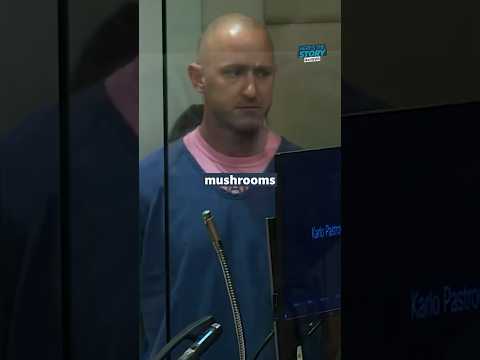 Pilot ‘took magic mushrooms’ before ‘trying to down plane’ #itvnews #alaska