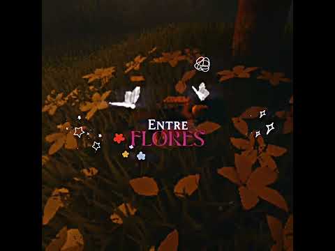 ... perdón por la inactividad