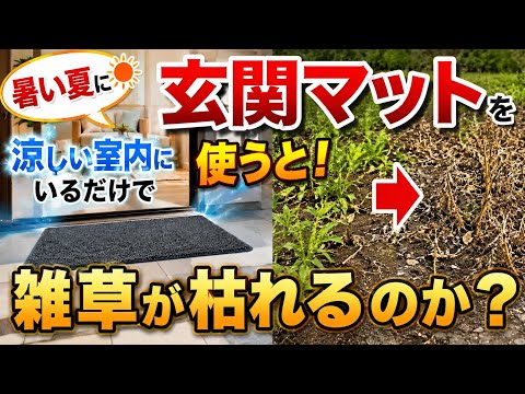 夏の雑草対策|置くだけ簡単な玄関マットで雑草は枯れるのか?