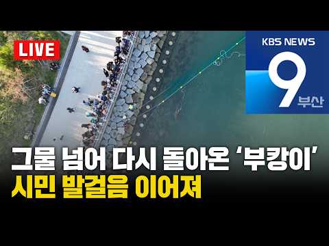 [LIVE] <strong>KBS</strong> <strong>뉴스9</strong> 부산 - 2026.10.03(토)