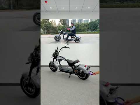 Citycoco Electric scooters Rooder Arrow, more than 100 colors