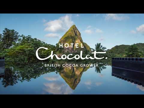 Roots To Wrapper - How Our Chocolate Is Made