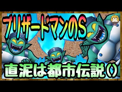 #101【DQW】２日間ブリザードマンだけを周回した結果がこちら【ドラクエウォーク】