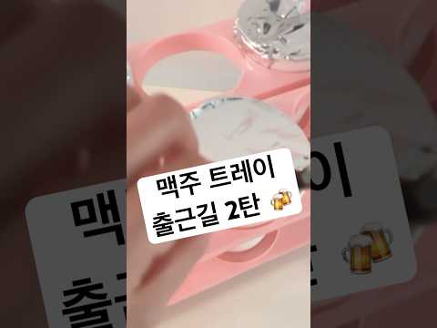 맥주트레이 출근길 2탄 🍉 이번엔 과일 편 (수박+자두)