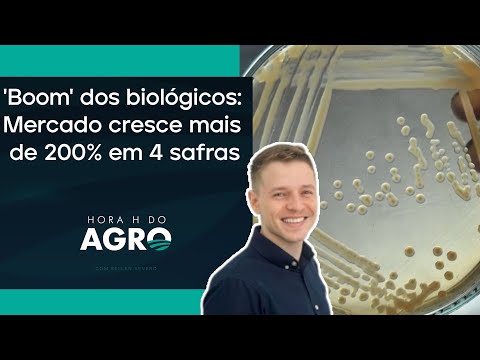 Como os bioinsumos estão evoluindo o agro brasileiro | HORA H DO AGRO