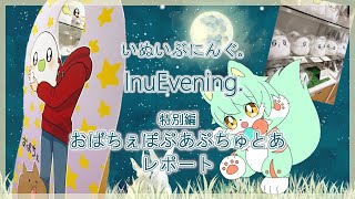 【雑談】いぬいぶにんぐ。  InuEvening. 特別編「おばちぇぽぷあぷちゅとあ レポート」【VTuber】