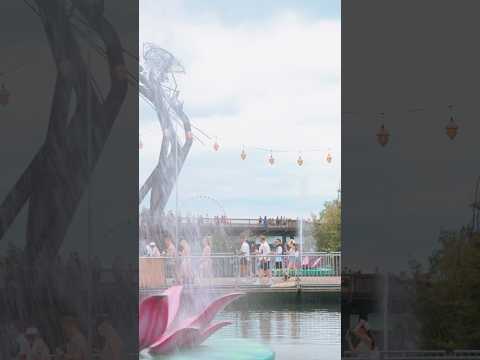 Moments at Tomorrowland.