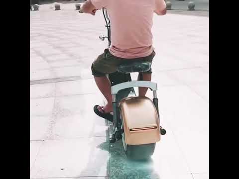 Electric Scooter with passenger