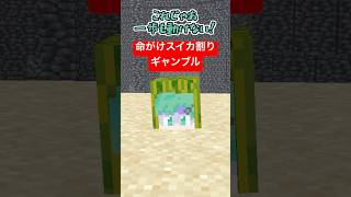 スイカ割りギャンブル【デスゲーム】【イカサマ】【マインクラフト】【マイクラアニメ】【VR】
