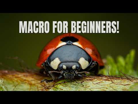 How to Start Macro Photography in 2026!