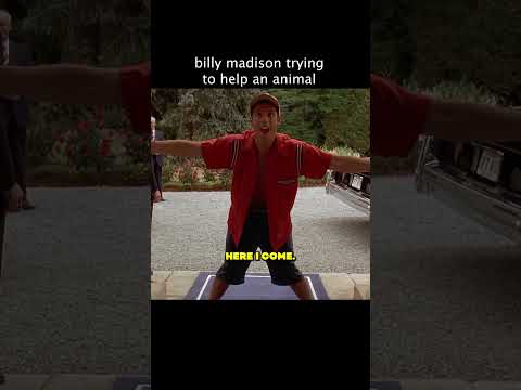 Why Can't They See He's Trying To Help?? #universal #moviecentral #billymadison