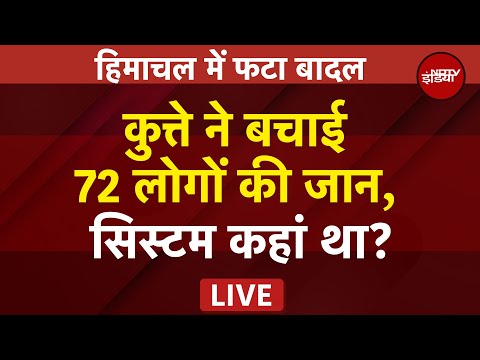 Himachal Cloudburst: पूरे के पूरे गांव की एक कुत्ते ने ऐसे बचाई जान | Monsoon | NDTV India