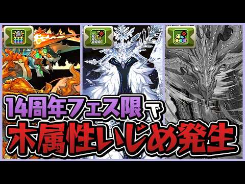 祝パズドラ14周年！新フェス限、木属性だけ多色ってマジ…？【パズドラ】