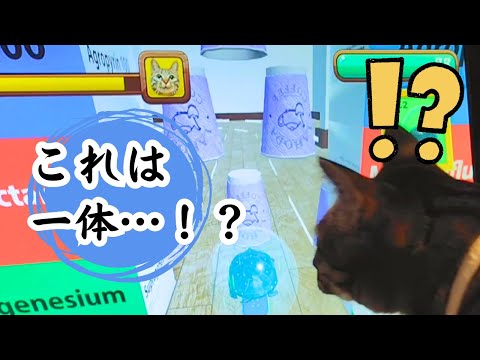 【爆笑】ゲーム画面の前に座る猫、実は…【Hilarious】Cat sitting in front of the game screen, actually...】