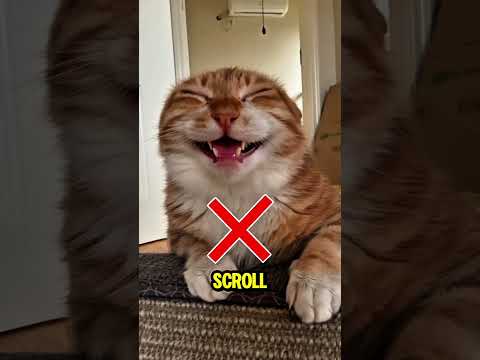 The Ice Cream with 👄