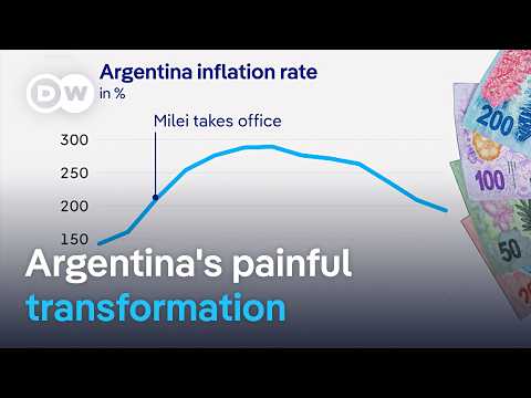 Did Milei follow through on his radical economic plans? | DW News