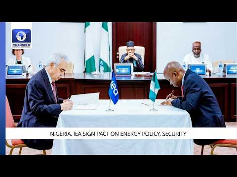 Nigeria, IEA Sign Pact On Energy Policy, Security