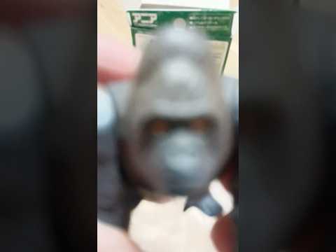 ピント合わず…