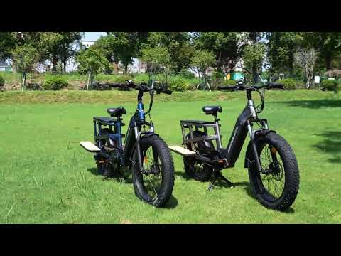 Bee Runner Cargo eBike | 1000W Motor, 48V 20Ah Battery & Ultimate Load Capacity