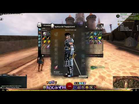 Cadeau obtenu au bout de 7 ans de guilds wars 2