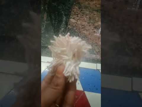 #కార్తీకమాసంలో ఎన్ని వతులు వెలిగించి #ytshorts #youtubeshorts