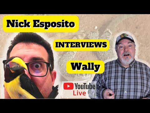 Nick Esposito THAT WEIRD GECKO GUY - Interviews Wa Oh how the tables have turned!   It was a YEAR ago.   Nick Esposito, That Weird Gecko Guy was interv