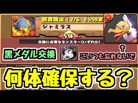 【ジャミラス〇体確保】黒メダルキャラ逃すやつおらんよな？？？ ダイの大冒険コラボ 【パズドラ】