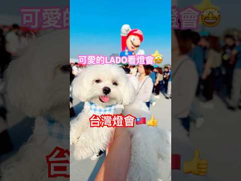 台灣燈會🇹🇼讚啦👍#台灣燈會#嘉義#馬力歐