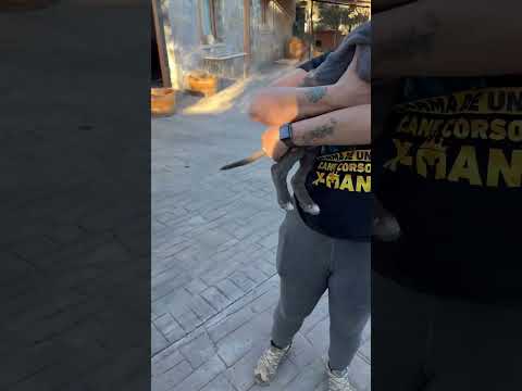 Mi chiquitito hermoso