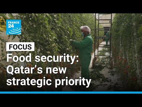 Qatar turns to desert farming to boost food security • FRANCE 24 English