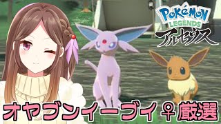 【レジェンズ】オヤブンエーフィ♀をランクマで使いたいのでアルセウスでイーブイ厳選する【Live配信】
