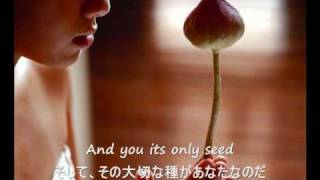 The Rose - Bette Midler (歌詞字幕）English & Japanese Lyrics