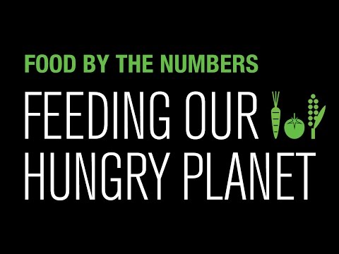 Food by the Numbers: Feeding Our Hungry Planet | National Geographic - UCpVm7bg6pXKo1Pr6k5kxG9A