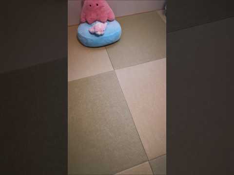めんだこ